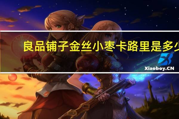 良品铺子 金丝小枣卡路里是多少