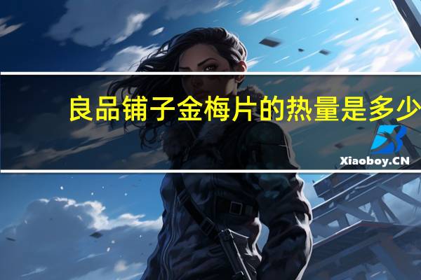 良品铺子 金梅片的热量是多少