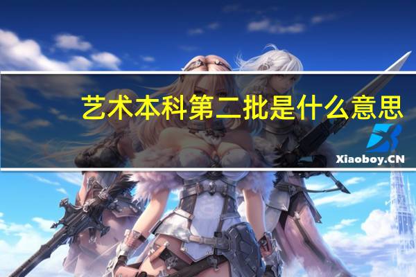 艺术本科第二批是什么意思