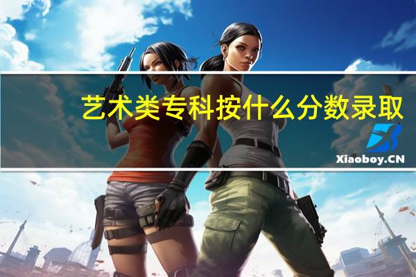 艺术类专科按什么分数录取