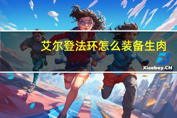 艾尔登法环 怎么装备生肉