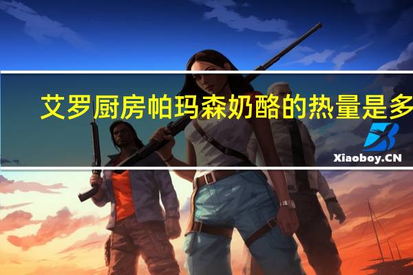 艾罗厨房 帕玛森奶酪的热量是多少