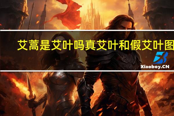 艾蒿是艾叶吗 真艾叶和假艾叶图片