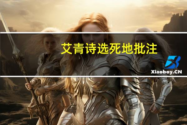 艾青诗选死地批注