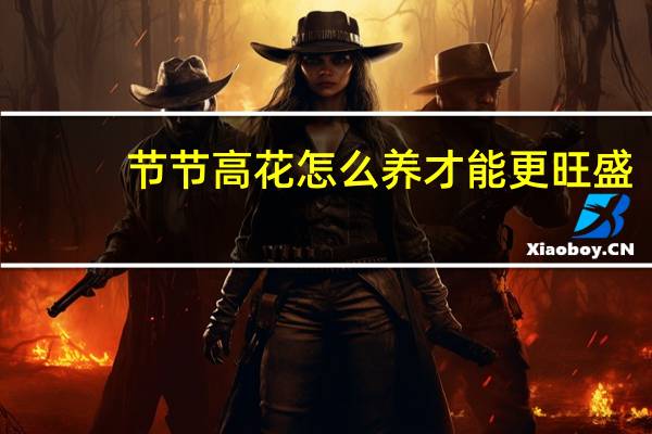 节节高花怎么养才能更旺盛