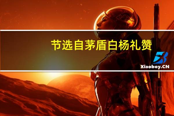 节选自茅盾白杨礼赞（茅盾白杨礼赞原文）