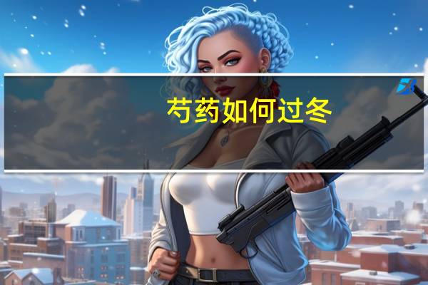 芍药如何过冬