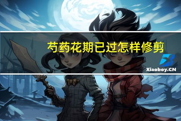 芍药花期已过怎样修剪（芍药花期）