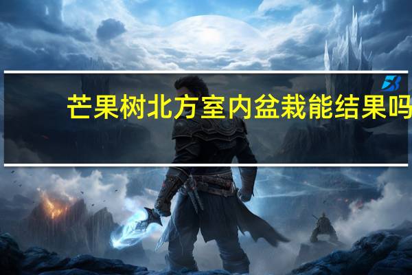 芒果树北方室内盆栽能结果吗