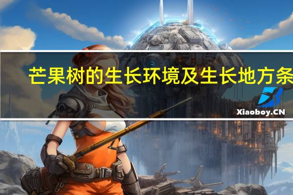 芒果树的生长环境及生长地方条件