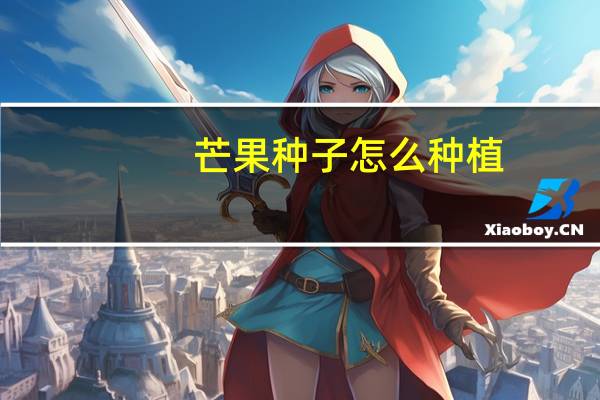 芒果种子怎么种植