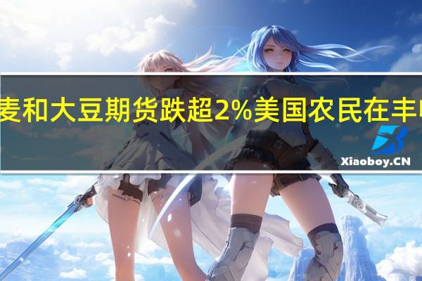 芝加哥小麦和大豆期货跌超2%美国农民在丰收过后寻求卖出