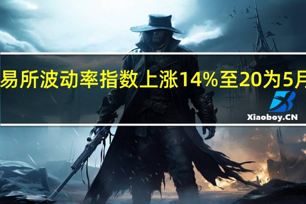 芝加哥期权交易所（CBOE）波动率指数上涨14%至20为5月24日以来最高水平
