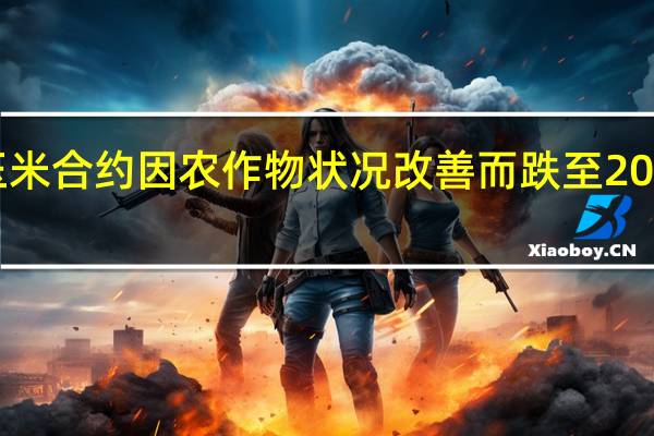 芝加哥期货交易所（CBOT）玉米合约因农作物状况改善而跌至2021年1月4日以来的最低点