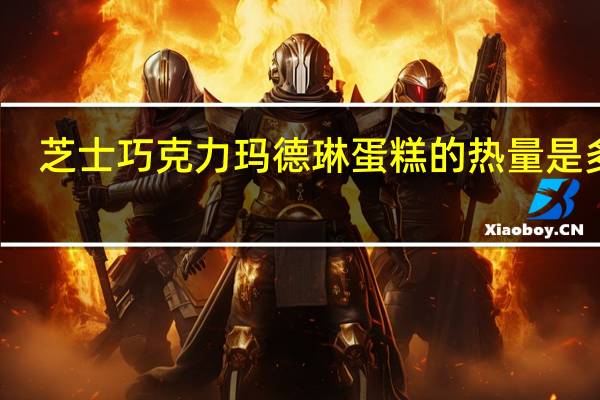 芝士巧克力玛德琳蛋糕的热量是多少