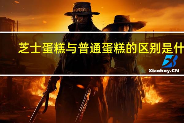 芝士蛋糕与普通蛋糕的区别是什么