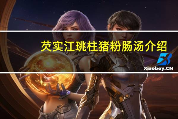 芡实江珧柱猪粉肠汤介绍
