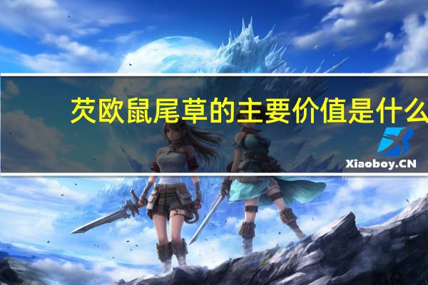芡欧鼠尾草的主要价值是什么