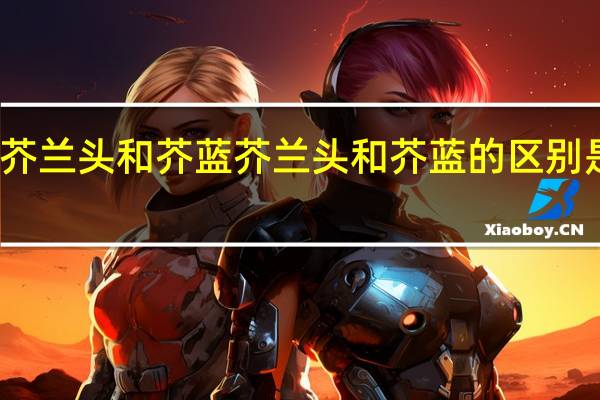 芥兰头和芥蓝 芥兰头和芥蓝的区别是什么