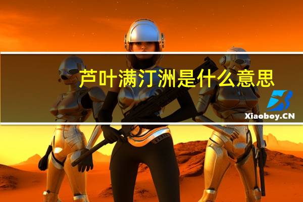 芦叶满汀洲是什么意思