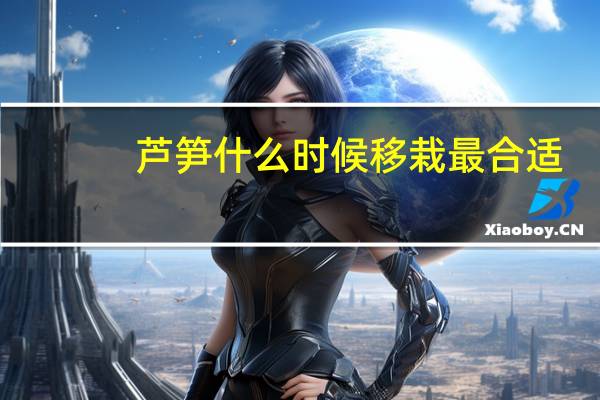 芦笋什么时候移栽最合适