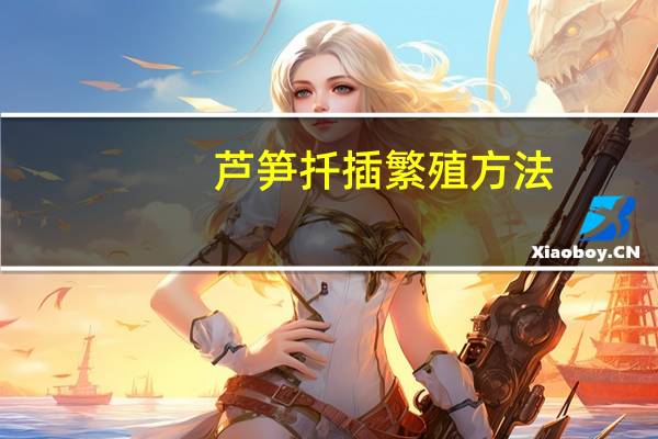 芦笋扦插繁殖方法