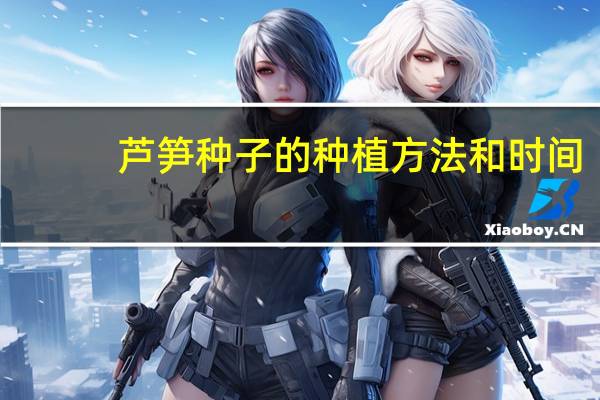芦笋种子的种植方法和时间