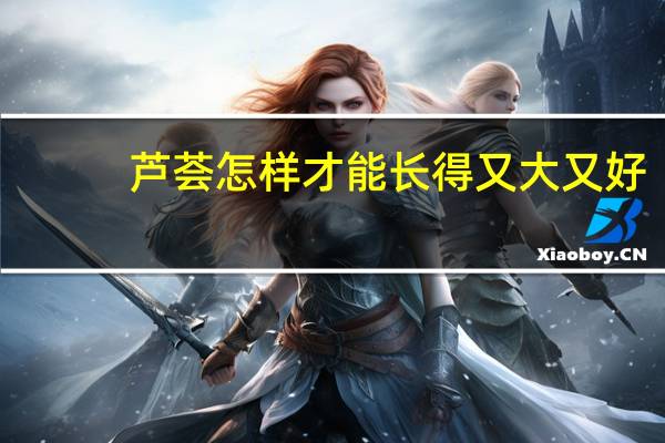 芦荟怎样才能长得又大又好