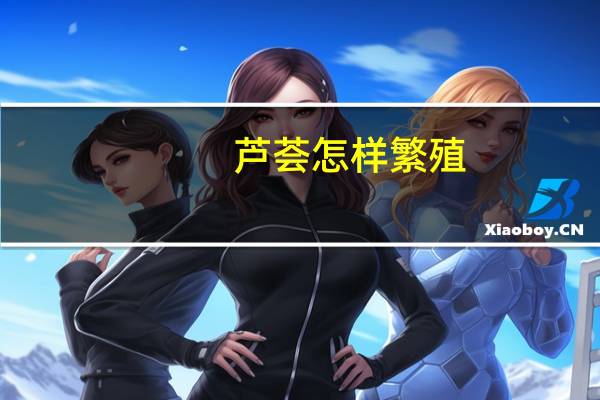 芦荟怎样繁殖：分株、芽插、叶插法