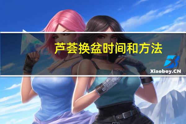 芦荟换盆时间和方法