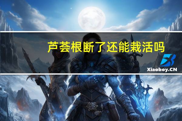 芦荟根断了还能栽活吗