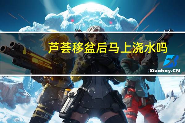 芦荟移盆后马上浇水吗