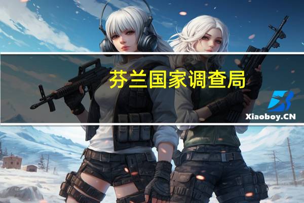 芬兰国家调查局：正在调查10月8日波罗的海天然气管道事故发生时在该地区的几艘船被调查的船只包括俄罗斯“Sevmorput”号