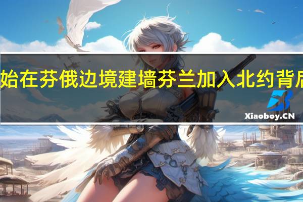 芬兰开始在芬俄边境建墙 芬兰加入北约背后的欧洲困境
