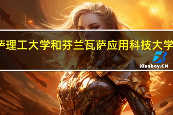 芬兰瓦萨理工大学 和 芬兰瓦萨应用科技大学 是一个大学吗