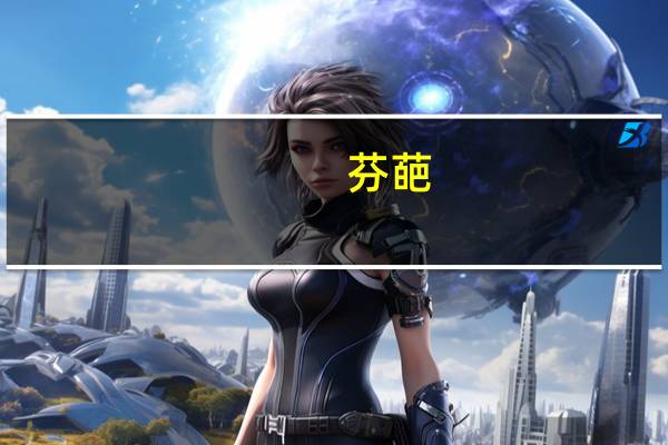 芬葩(关于芬葩简述)