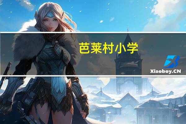 芭莱村小学(关于芭莱村小学简述)