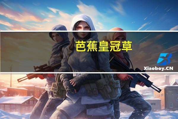 芭蕉皇冠草(关于芭蕉皇冠草简述)