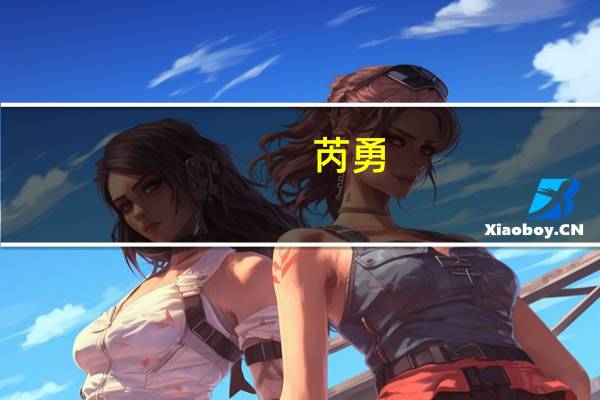 芮勇(关于芮勇简述)