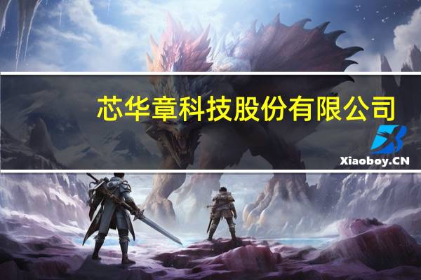 芯华章科技股份有限公司(关于芯华章科技股份有限公司简述)