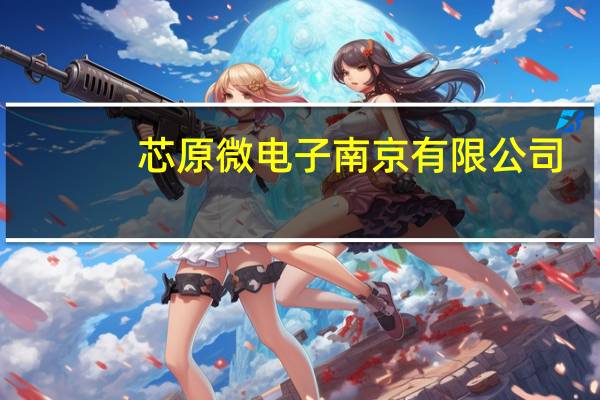 芯原微电子 南京有限公司(关于芯原微电子 南京有限公司简述)