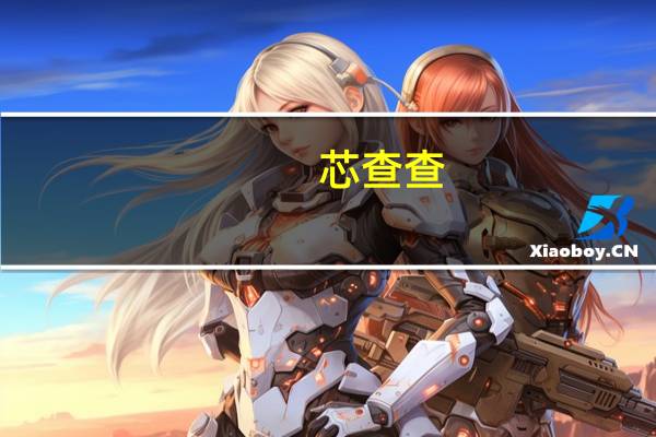芯查查(关于芯查查简述)