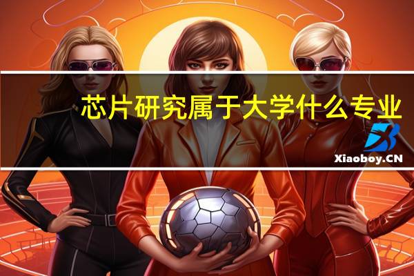 芯片研究属于大学什么专业