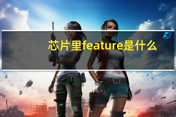 芯片里feature是什么