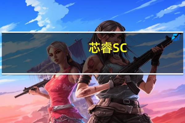 芯睿SC-VG22A显卡水冷头(关于芯睿SC-VG22A显卡水冷头简述)