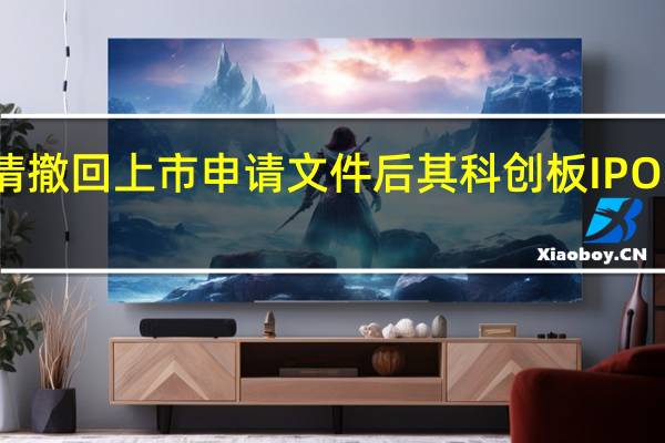 芯邦科技申请撤回上市申请文件后其科创板IPO获上交所终止审核