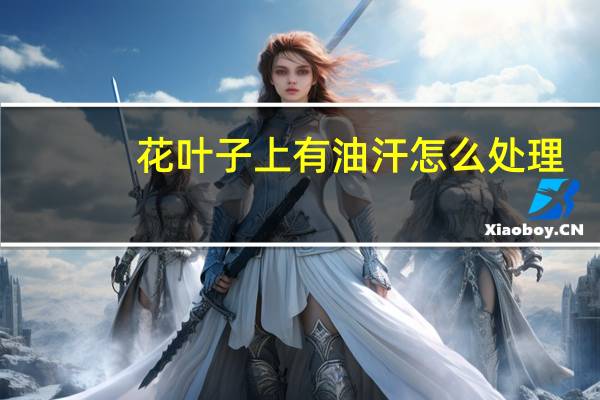 花叶子上有油汗怎么处理