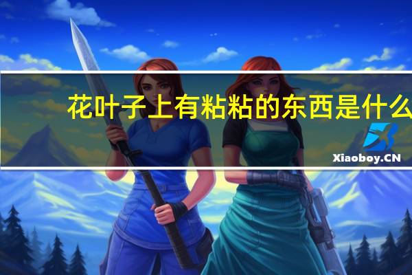 花叶子上有粘粘的东西是什么