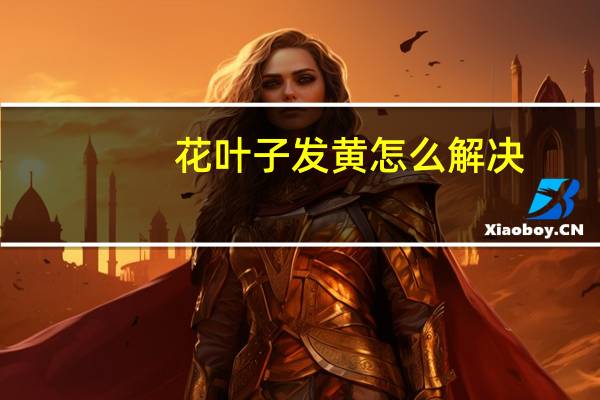 花叶子发黄怎么解决