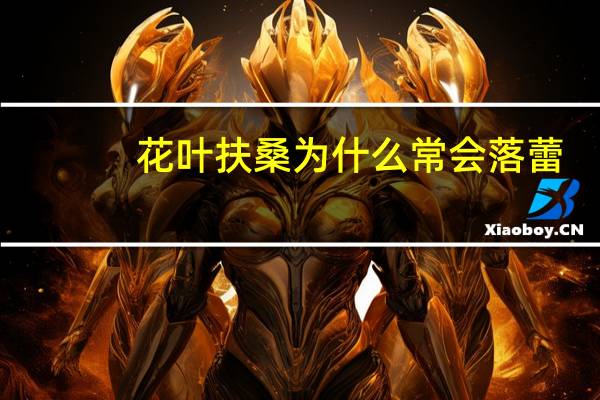 花叶扶桑为什么常会落蕾